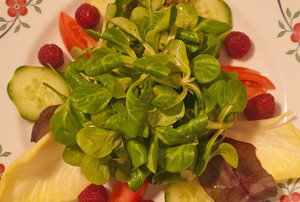 Gemischter Salat schön anrichten