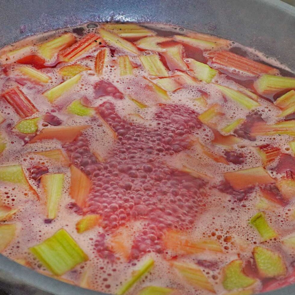 Rezept für Rhabarberkompott mit Himbeeren - Kochen mit Moki Rezept für Rhabarberkompott mit Himbeeren - Kochen mit Moki