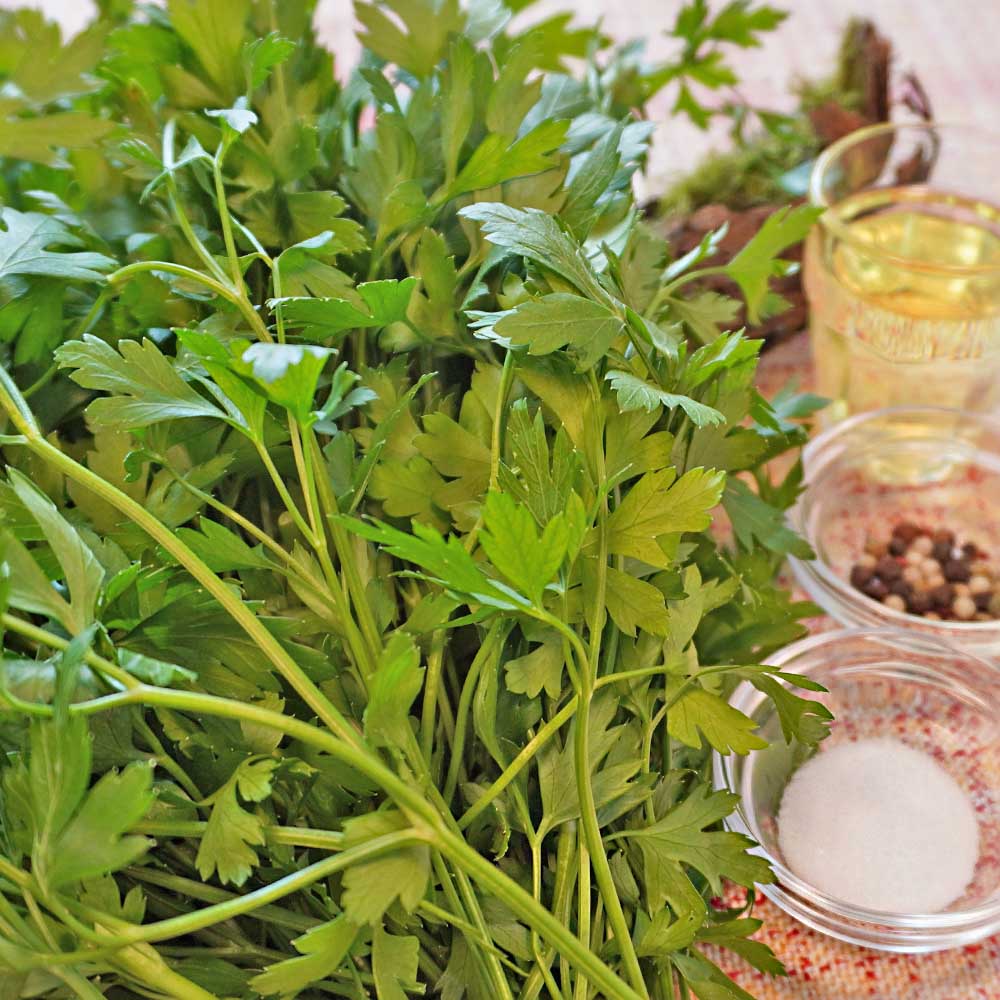Petersilien Pesto vegan Zutaten