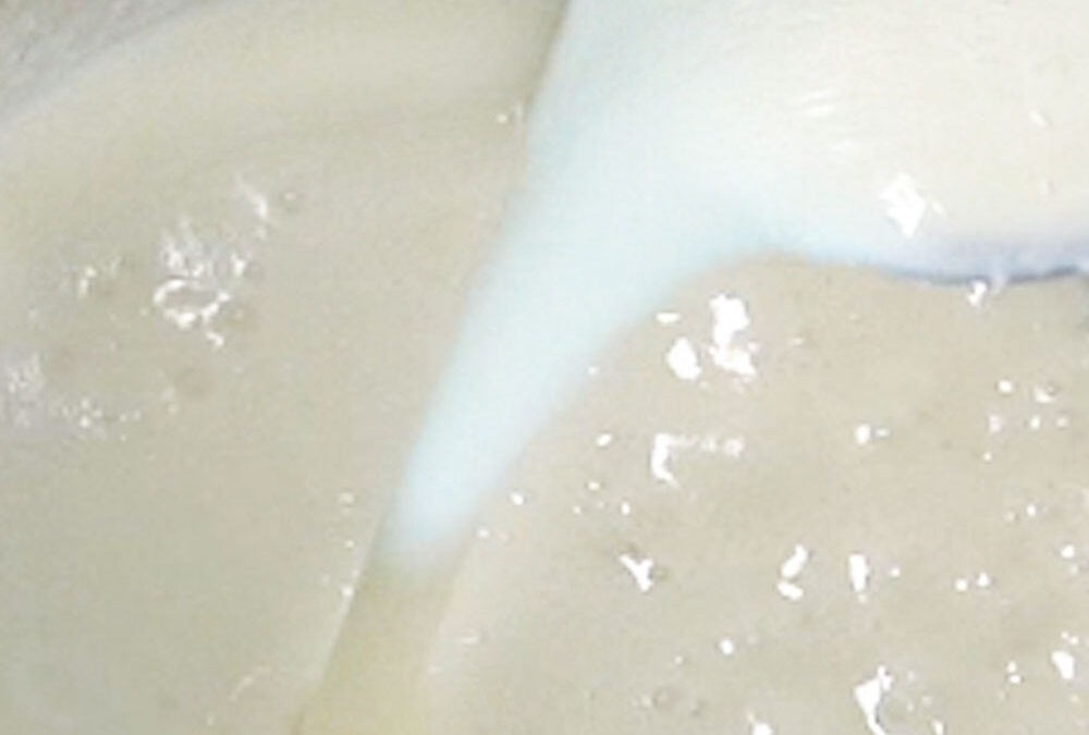 Rezept für Meerrettichsoße selbstgemacht