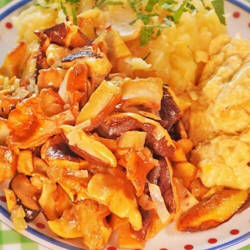 Waldpilze richtig braten mit Rührei