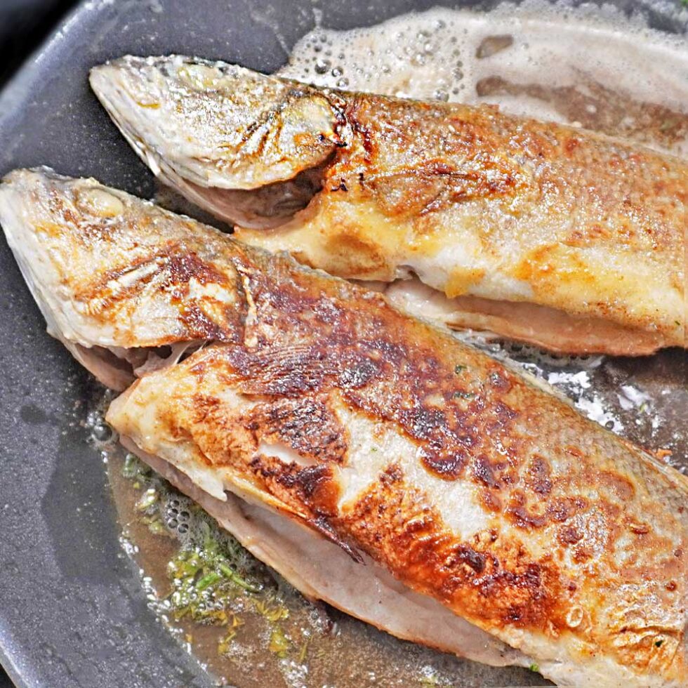 Wolfsbarsch Rezept - in der Pfanne zubereiten - Kochen mit Moki