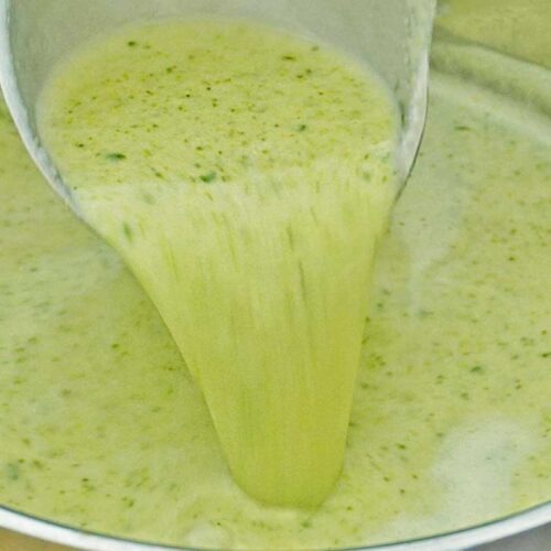 selbst gemachte Brokkoli-Creme-Suppe im Topf
