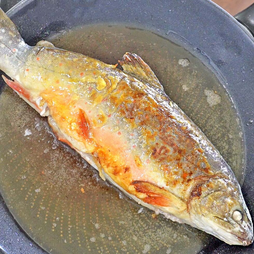 Saibling Fish Saibling im Ganzen gebraten - Rezept - Kochen mit Moki