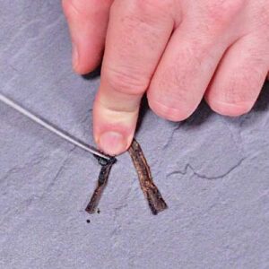 Mark aus Vanilleschote auskratzen