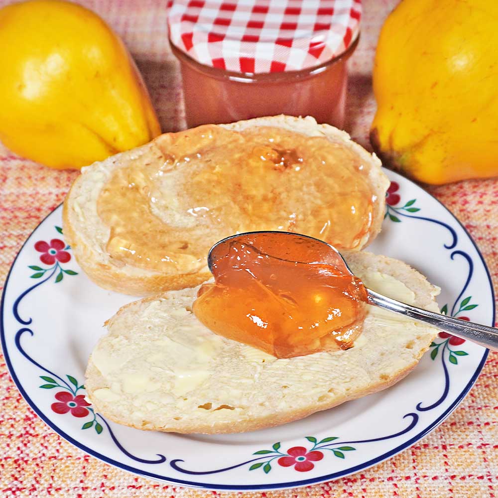 Quittengelee auf Brötchen