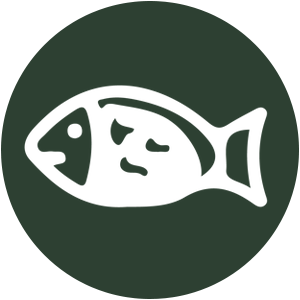 Einfache Fisch Rezepte