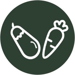 Einfache Gemüse Rezepte