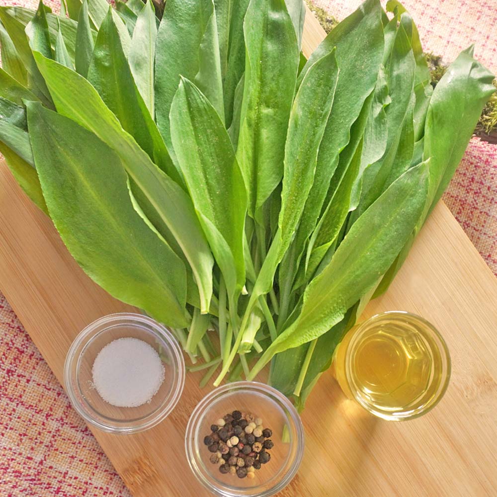 Zutaten für veganes Bärlauch Pesto