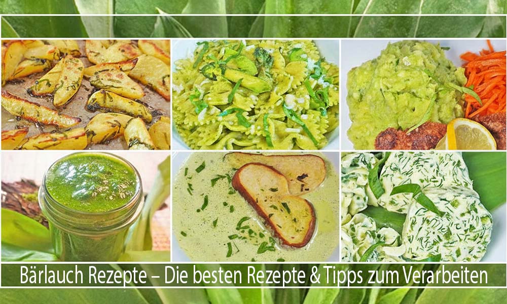 Bärlauch Rezepte - 6 Rezeptideen 6 Rezeptideen für Bärlauch
